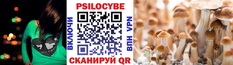 Галлюциногенные грибы Cubensis  Шарья 